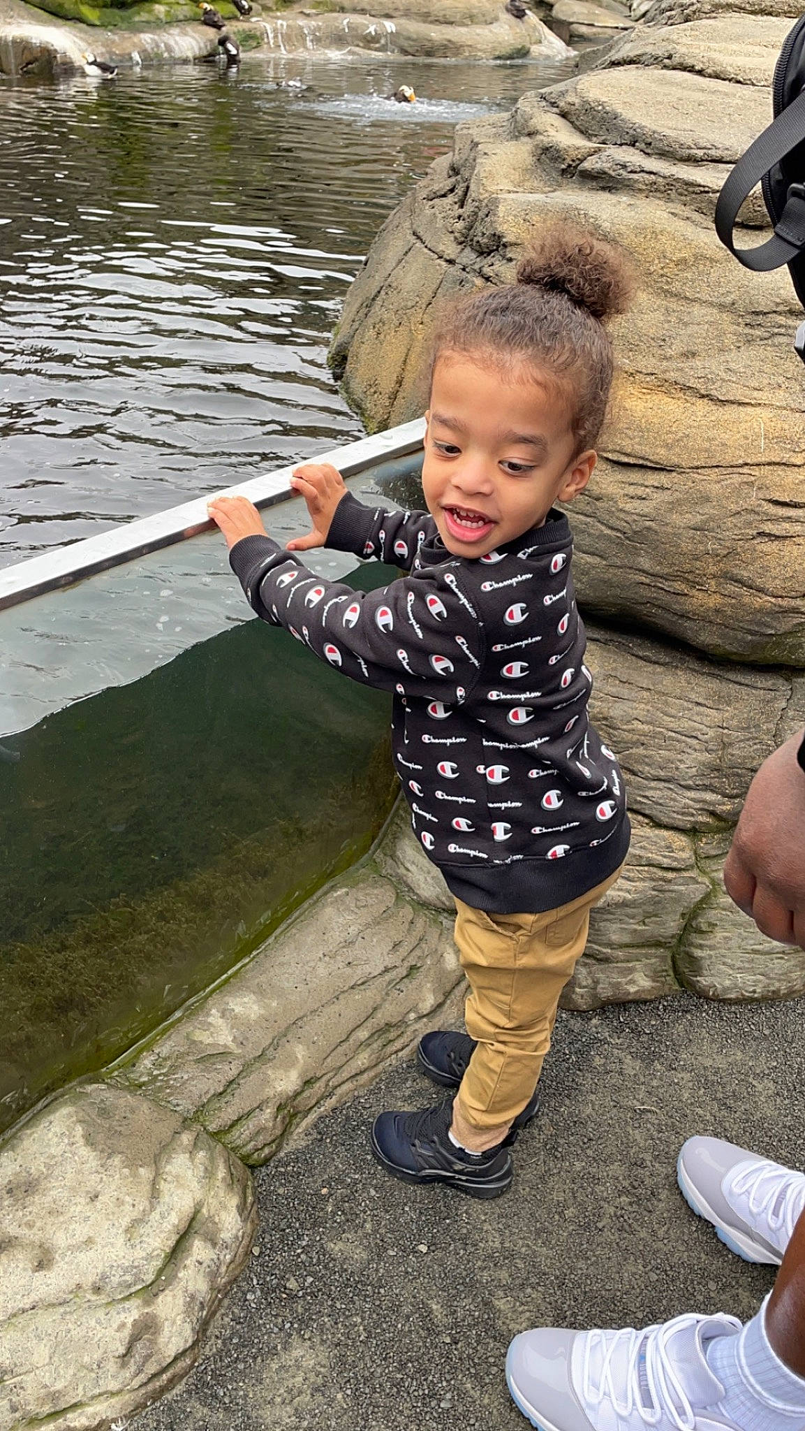 Dekari joined the competition — help win amazing prizes! child, finger, foot, fun, gesture, grass, hand, happy, lake, leisure, people_in_nature, person, play, recreation, rock, sandal, shoe, sitting, toddler, tree