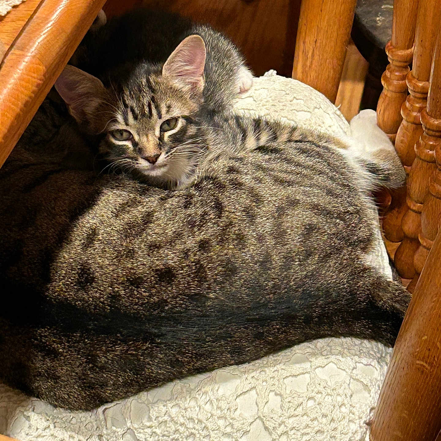 Peanut