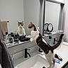 Zena is registered to the contest to win money with this photo: cat, mirror, bathroom, sink, toiletries, towel, reflection, curious, standing, pet, domestic_animal, clean, countertop, personal_care, light, black_and_white, fur, whiskers, tail, indoor