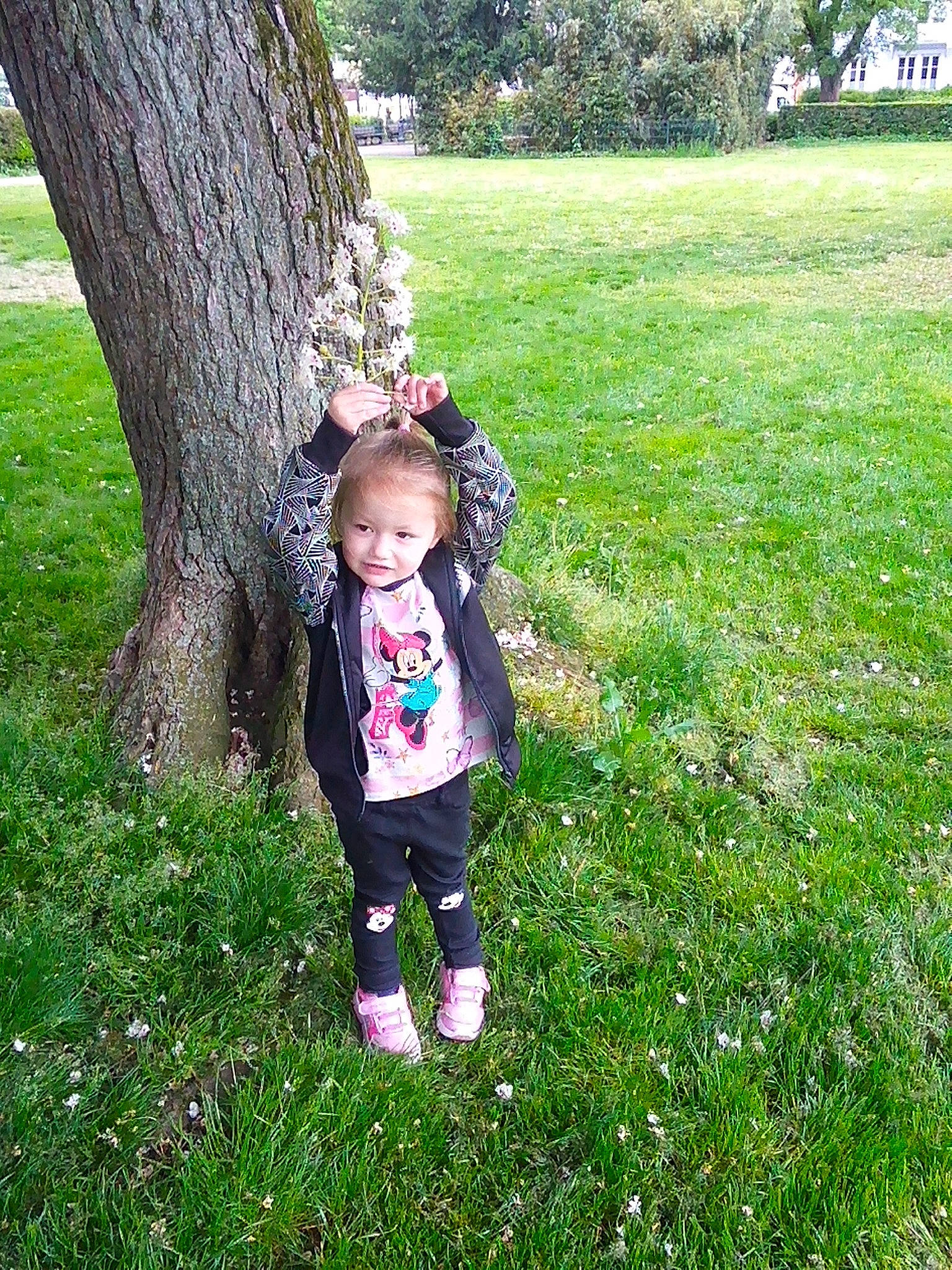 Salomée participe au concours pour gagner de l'argent avec cette photo : flower, fun, garden, grass, grass_family, grassland, green, groundcover, happy, lawn, leisure, meadow, natural_landscape, people_in_nature, person, plant, recreation, standing, toddler, tree