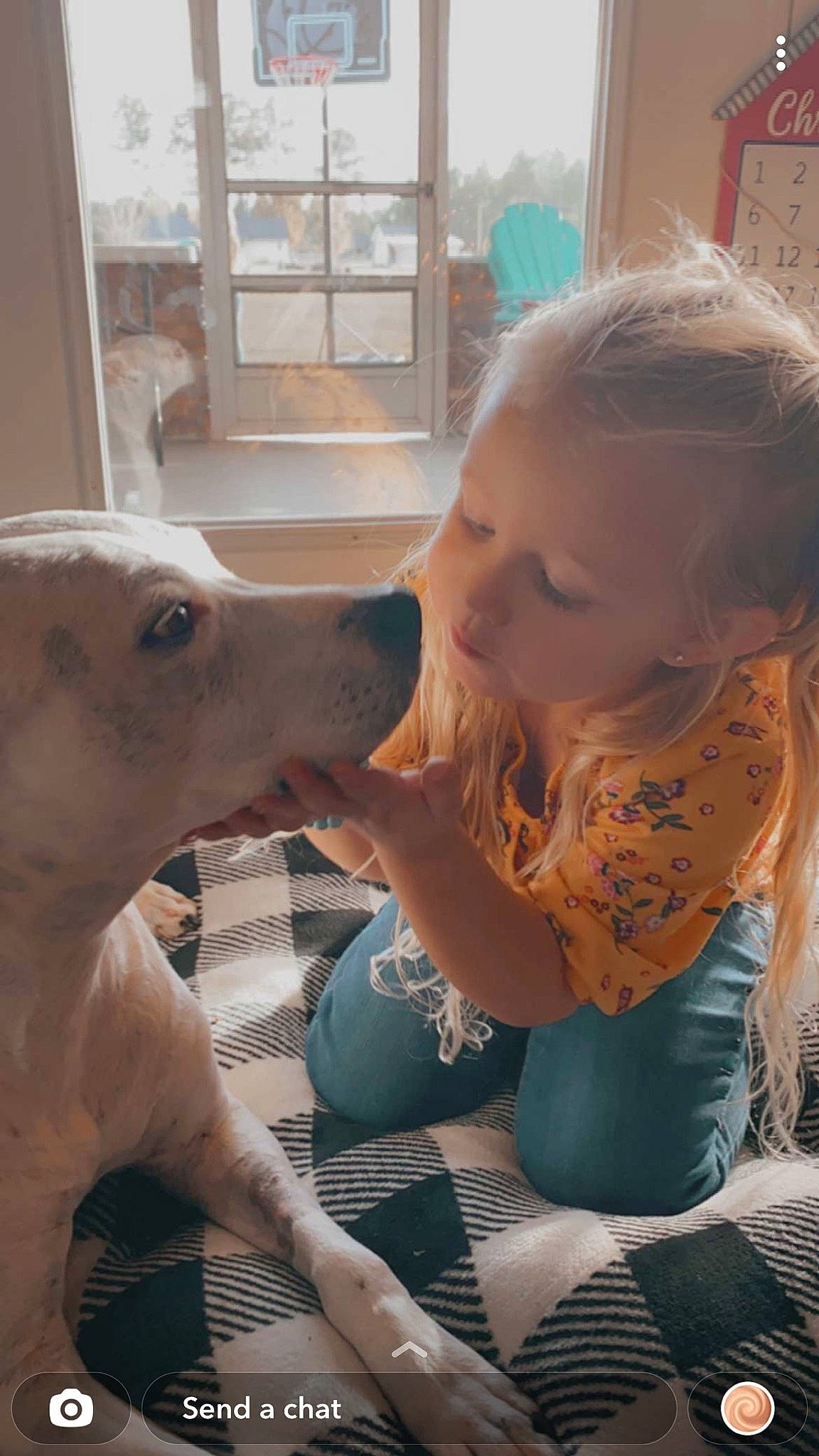 Tinsley is registered to the contest to win money with this photo: canidae, carnivore, child, companion_dog, dog, dog_breed, ear, fawn, fun, gesture, happy, jewellery, kiss, organ, person, snout, sporting_group, toddler, whiskers, window