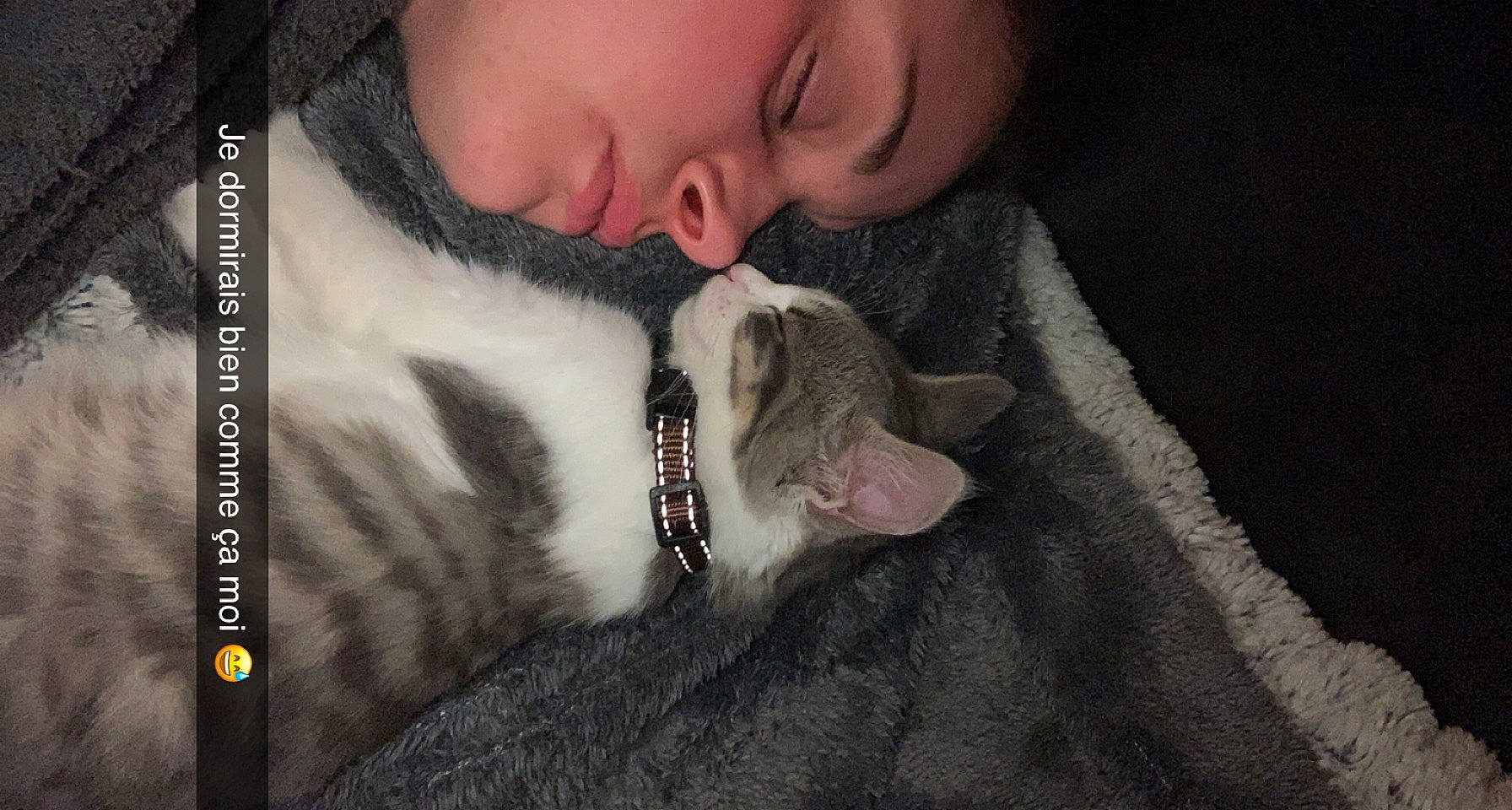 Soquette a rejoint le concours — aidez-le/la à gagner de superbes lots ! arm, beard, carnivore, chin, comfort, dog_breed, ear, eyebrow, eyelash, felidae, flash_photography, gesture, glasses, human_body, jaw, leg, mouth, neck, nose, sunglasses