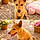 Simba
