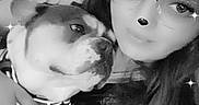 Taz a rejoint le concours — aidez-le/la à gagner de superbes lots ! animal_ears, black_and_white, casual_clothing, closeup, companion, cuddle, cute, dog, face_filter, friendship, glasses, heart_shape, indoor, person, pet, portrait, relaxation, smile, sparkles