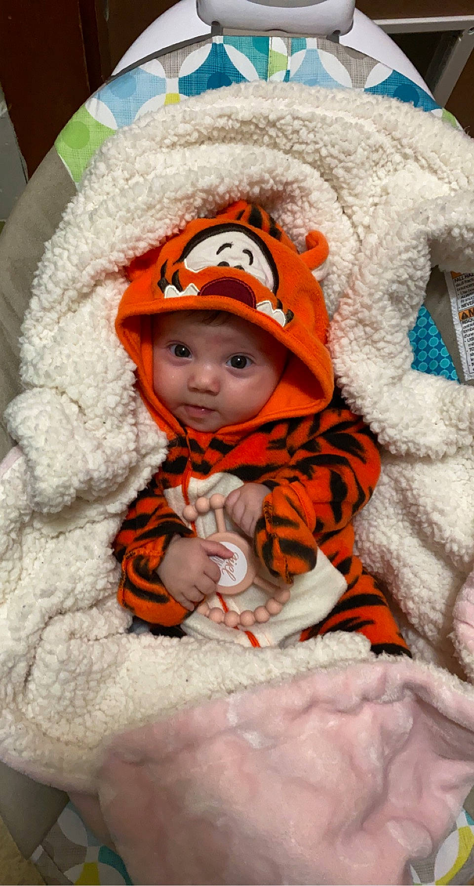 Scarlett joined the competition — help win amazing prizes! baby, baby_toddler_clothing, cap, cheek, child, eye, fun, fur, happy, headwear, linens, mammal, orange, outerwear, people, person, plush, skin, stuffed_toy, textile
