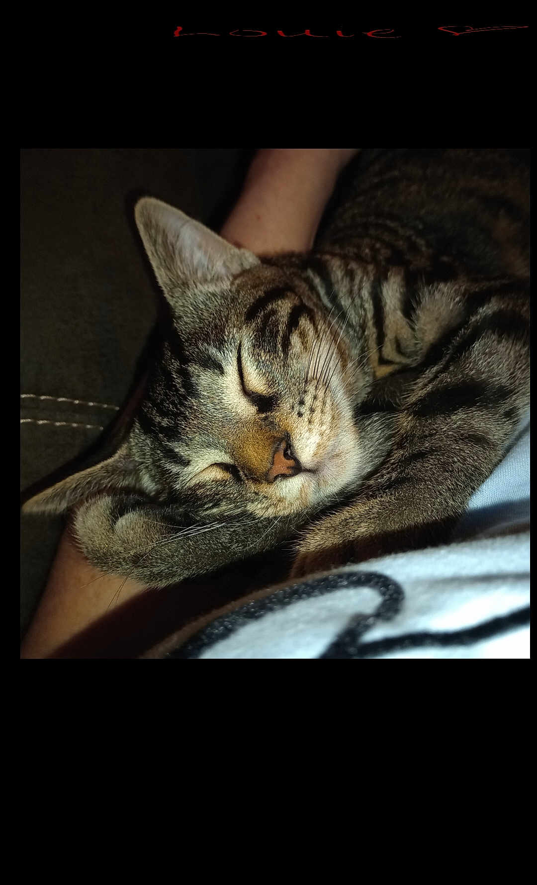 Louie