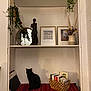 Timy participe au concours pour gagner de l'argent avec cette photo : black_cat, cat, books, basket, cushion, decor, framed_pictures, indoor, mirror, plant, potted_plant, sculpture, shelf, striped_cushion, wall, window, home_interior, cozy, shadow, ornament
