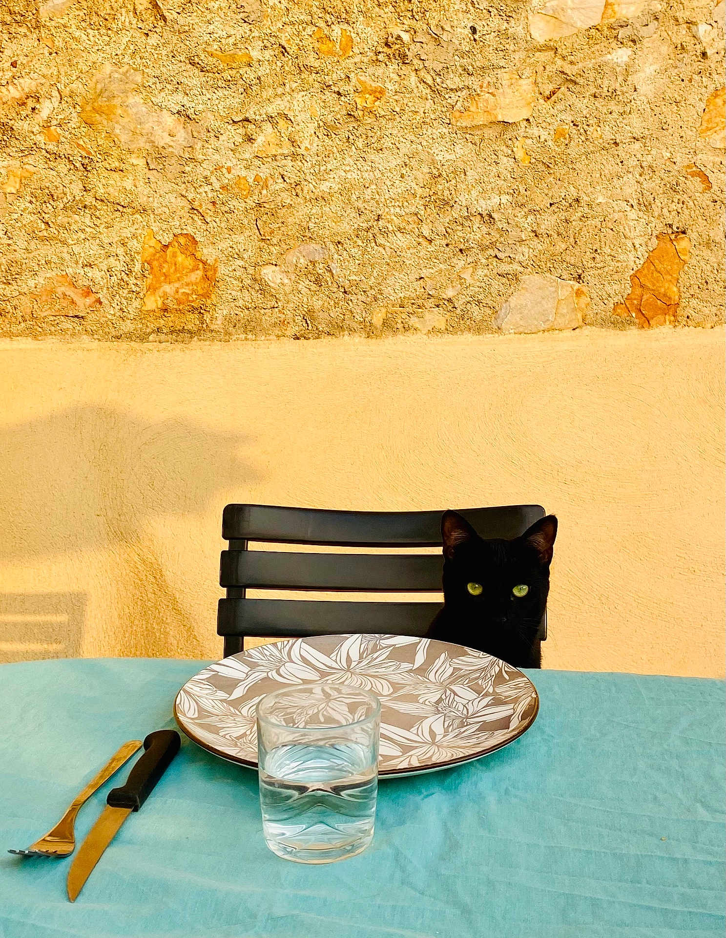 Timy participe au concours pour gagner de l'argent avec cette photo : black_cat, cat, green_eyes, chair, table, plate, glass_of_water, knife, fork, cutlery, blue_tablecloth, stone_wall, plaster_wall, shadow, outdoor, pet, animal, domestic_cat, waiting, dining