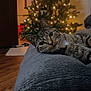 cat, tabby_cat, cushion, christmas_tree, lights, indoor, wooden_floor, decor, holiday, feline, pet, cozy, relaxed, curious, soft_texture, warm_lighting, home, resting, animal, portrait