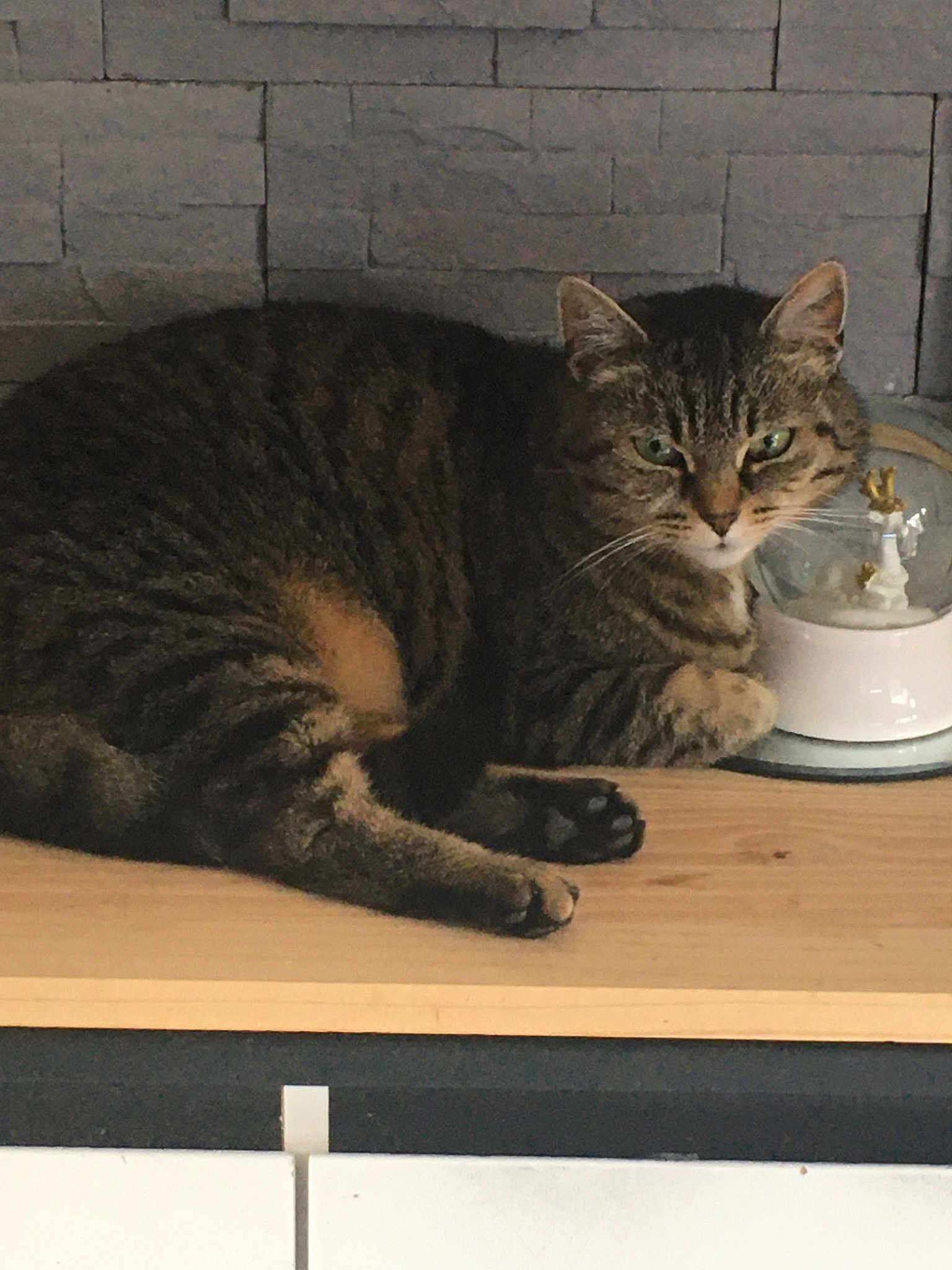 Mimi