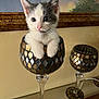 kitten, cat, decorative_goblet, glass, paws, curious, indoor, home, painting, wall, table, candle, decor, feline, cute, small, pet, animal, mosaic_pattern, cozy