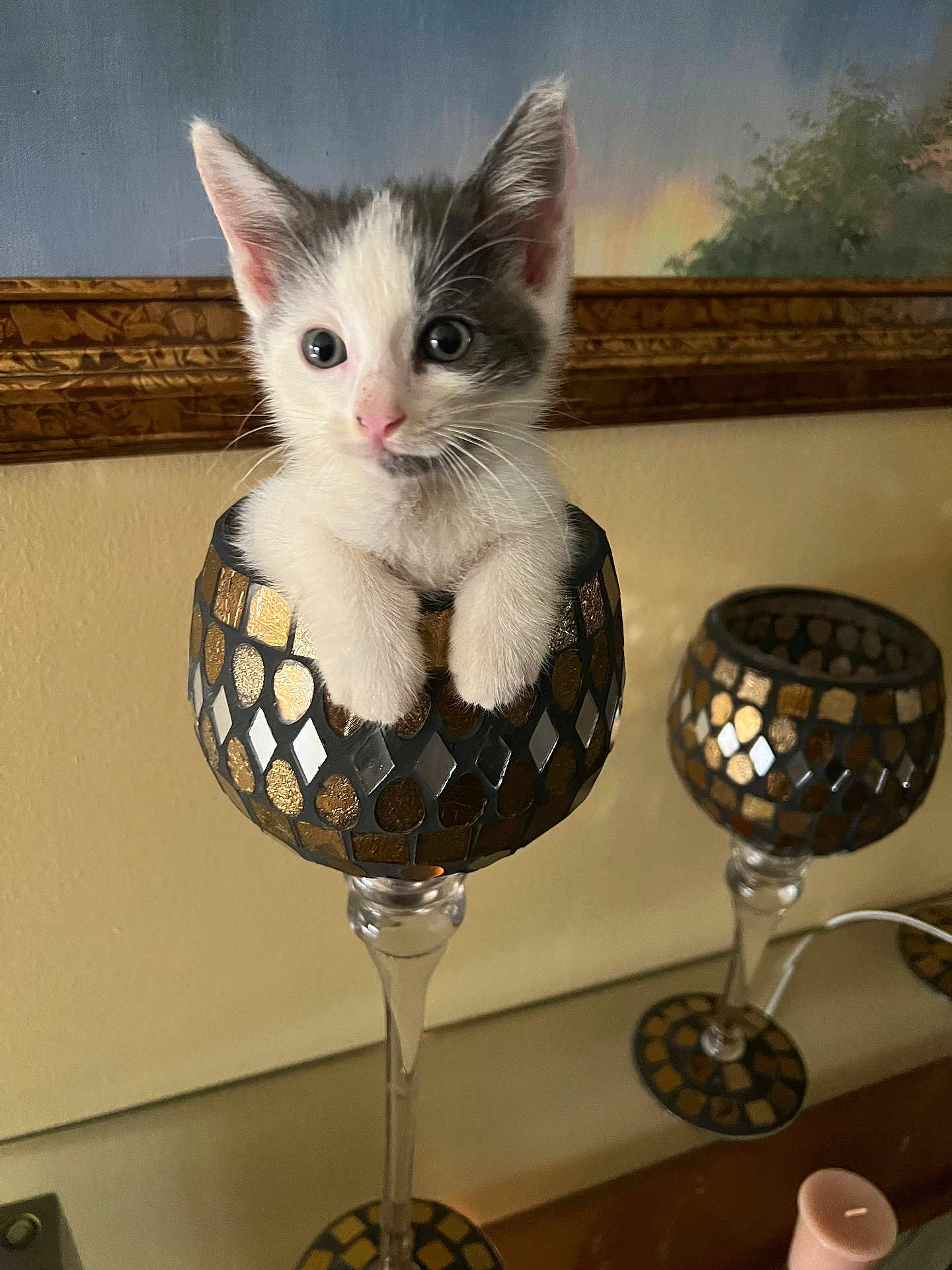 Foula is registered to the contest to win money with this photo: kitten, cat, decorative_goblet, glass, paws, curious, indoor, home, painting, wall, table, candle, decor, feline, cute, small, pet, animal, mosaic_pattern, cozy