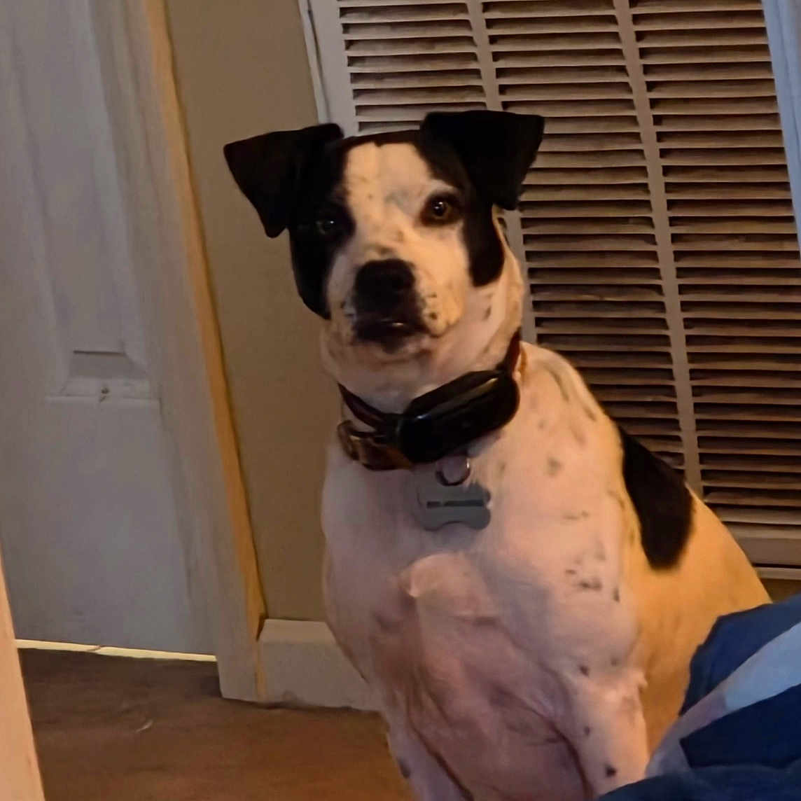 Molly