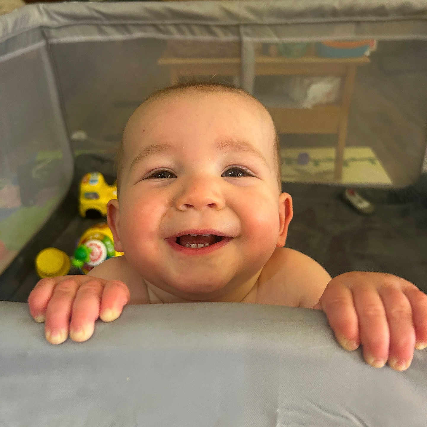 Elijah is registered to the contest to win money with this photo: baby, child, smile, happy, playpen, toys, indoor, face, hands, cheeks, teeth, person, infant, cute, home, furniture, colorful, joyful, closeup, portrait