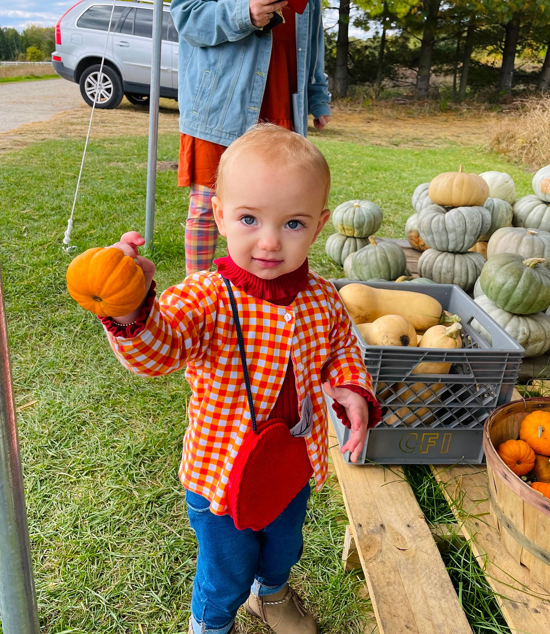 Ophelia is registered to the contest to win money with this photo: calabaza, cucurbita, fun, gourd, grass, jeans, leisure, natural_foods, orange, people_in_nature, person, plant, pumpkin, smile, squash, tire, toddler, vegetable, wheel, whole_food