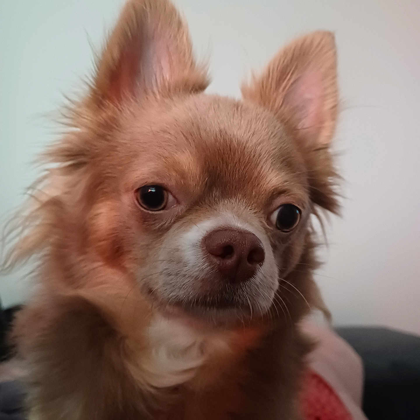Aiko