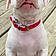 Remington
