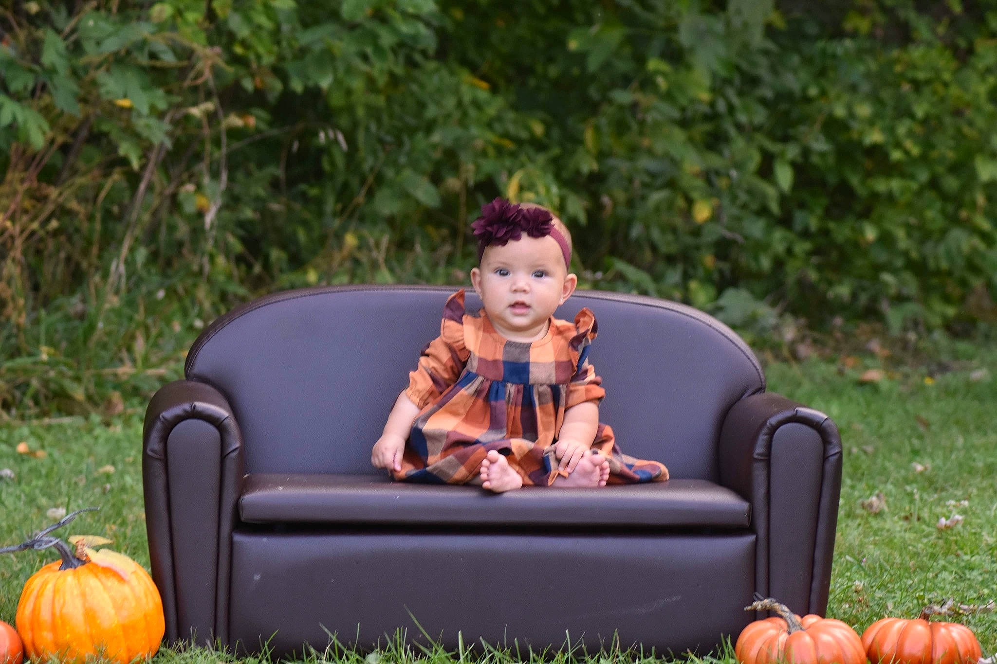 Camila joined the competition — help win amazing prizes! calabaza, carnivore, comfort, companion_dog, couch, cucurbita, furniture, gourd, grass, happy, headwear, leaf, leisure, orange, outdoor_furniture, person, plant, pumpkin, recreation, toddler