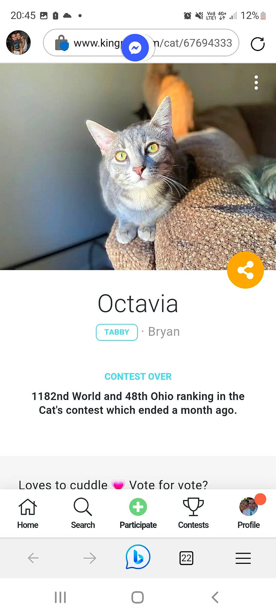 Ela participe au concours pour gagner de l'argent avec cette photo : carnivore, cat, cat_supply, domestic_short_haired_cat, felidae, font, fur, graphics, internet_meme, logo, organism, paw, photo_caption, product, puzzle, russian_blue, screenshot, small_to_medium_sized_cats, tail, whiskers