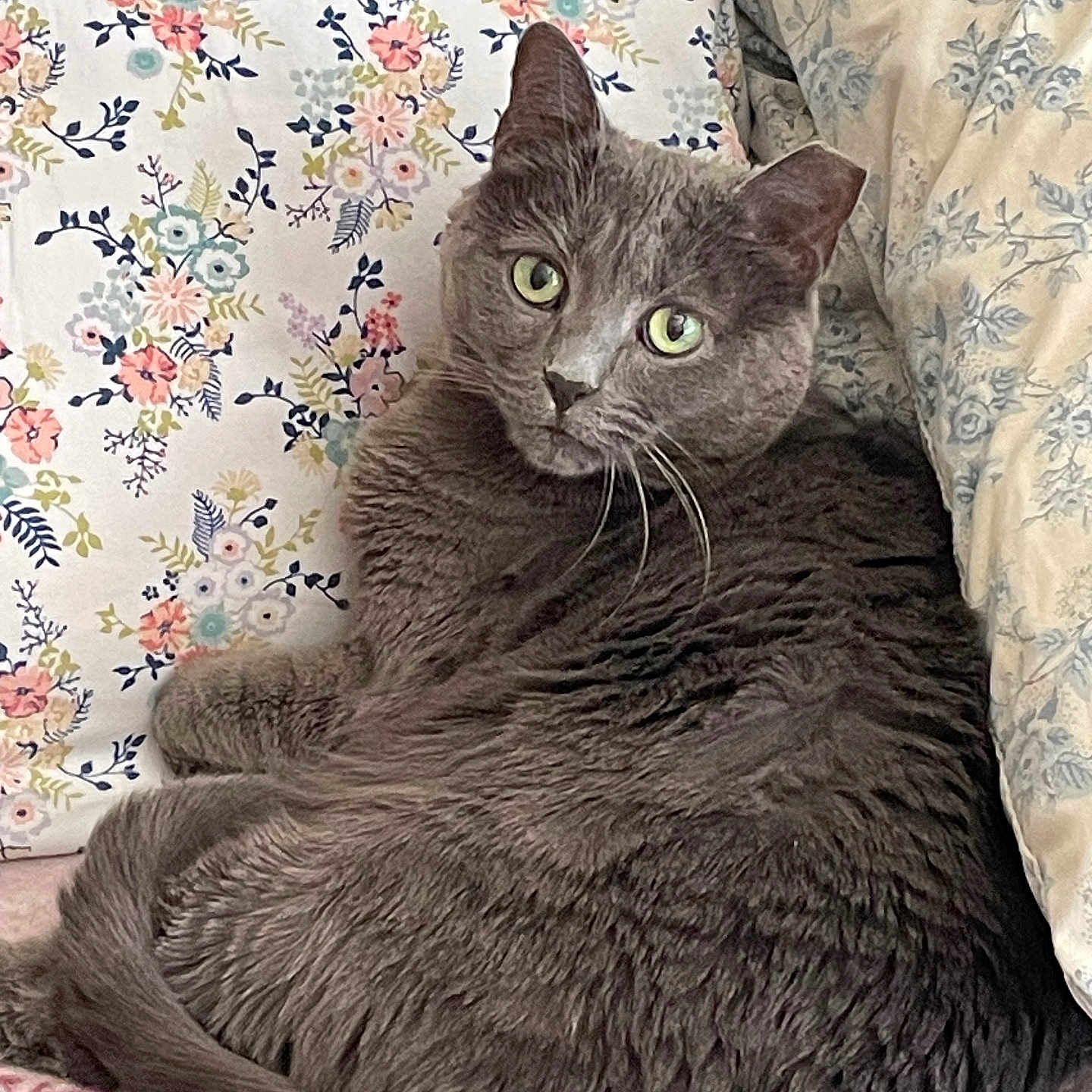 Freya