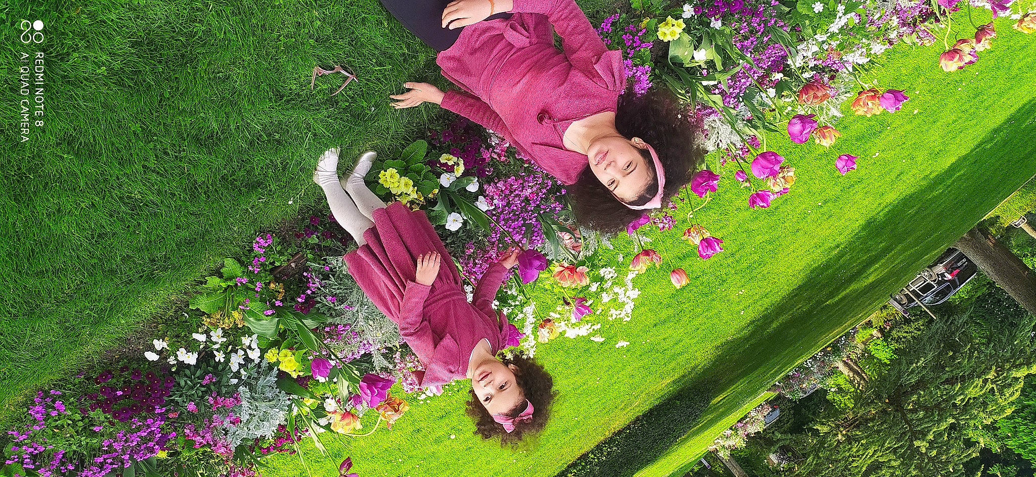 Nourine participe au concours pour gagner de l'argent avec cette photo : botany, flower, flowering_plant, grass, green, groundcover, happy, leisure, magenta, meadow, nature, people_in_nature, person, petal, photograph, pink, plant, purple, shrub, smile