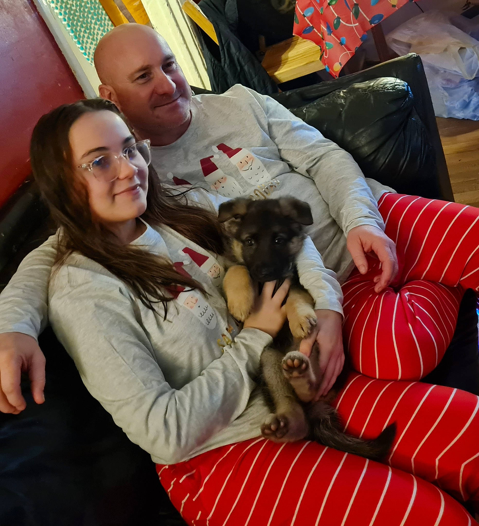 Adara is registered to the contest to win money with this photo: carnivore, child, comfort, companion_dog, couch, dog, dog_breed, ear, event, fawn, fun, fur, happy, lap, leisure, living_room, room, sitting, smile, toy
