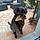 Rubie