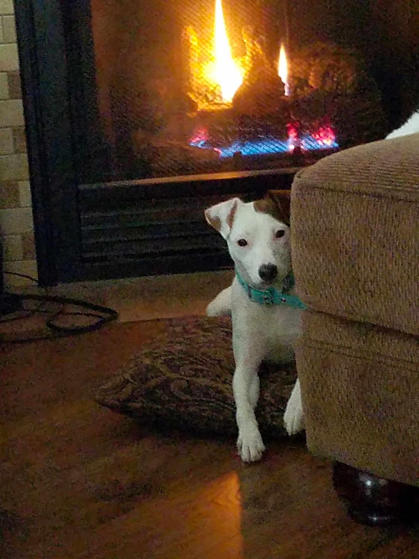 Remi