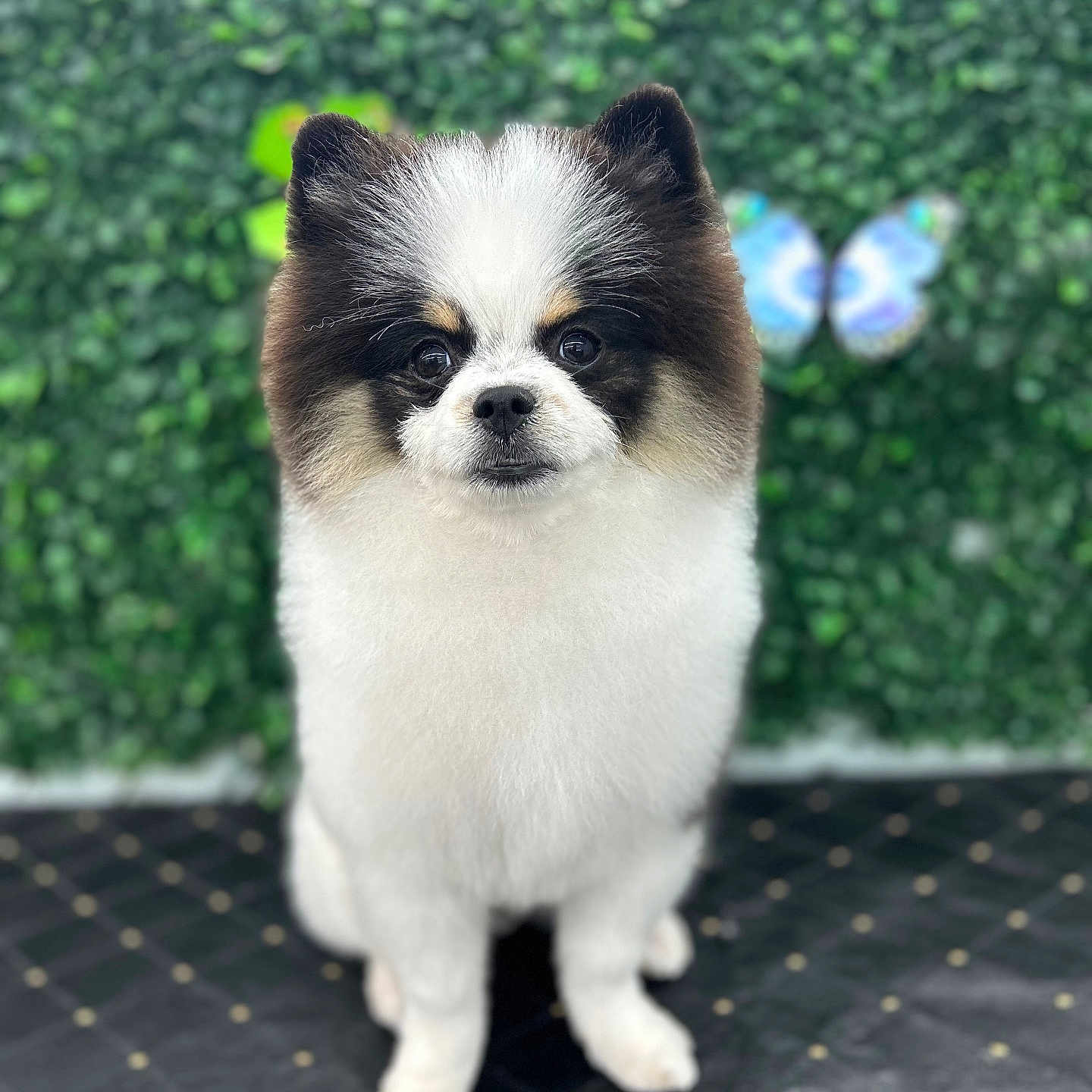 Po