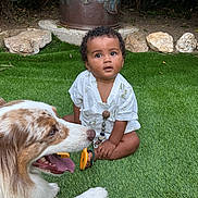 Roy a rejoint le concours — aidez-le/la à gagner de superbes lots ! toddler, child, dog, grass, outdoor, pet, curious, white_clothing, pacifier_clip, nature, greenery, rocks, happy_dog, tongue_out, summer, cute, baby, animal, friendship, garden