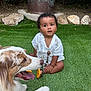 toddler, child, dog, grass, outdoor, pet, curious, white_clothing, pacifier_clip, nature, greenery, rocks, happy_dog, tongue_out, summer, cute, baby, animal, friendship, garden