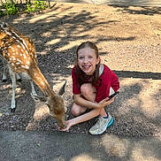 Aubrey is registered to the contest to win money with this photo: child, girl, deer, animal, feeding, outdoor, sunlight, shadow, smiling, crouching, nature, fence, dirt, casual_clothing, sneakers, happy, young, wildlife, interaction, park