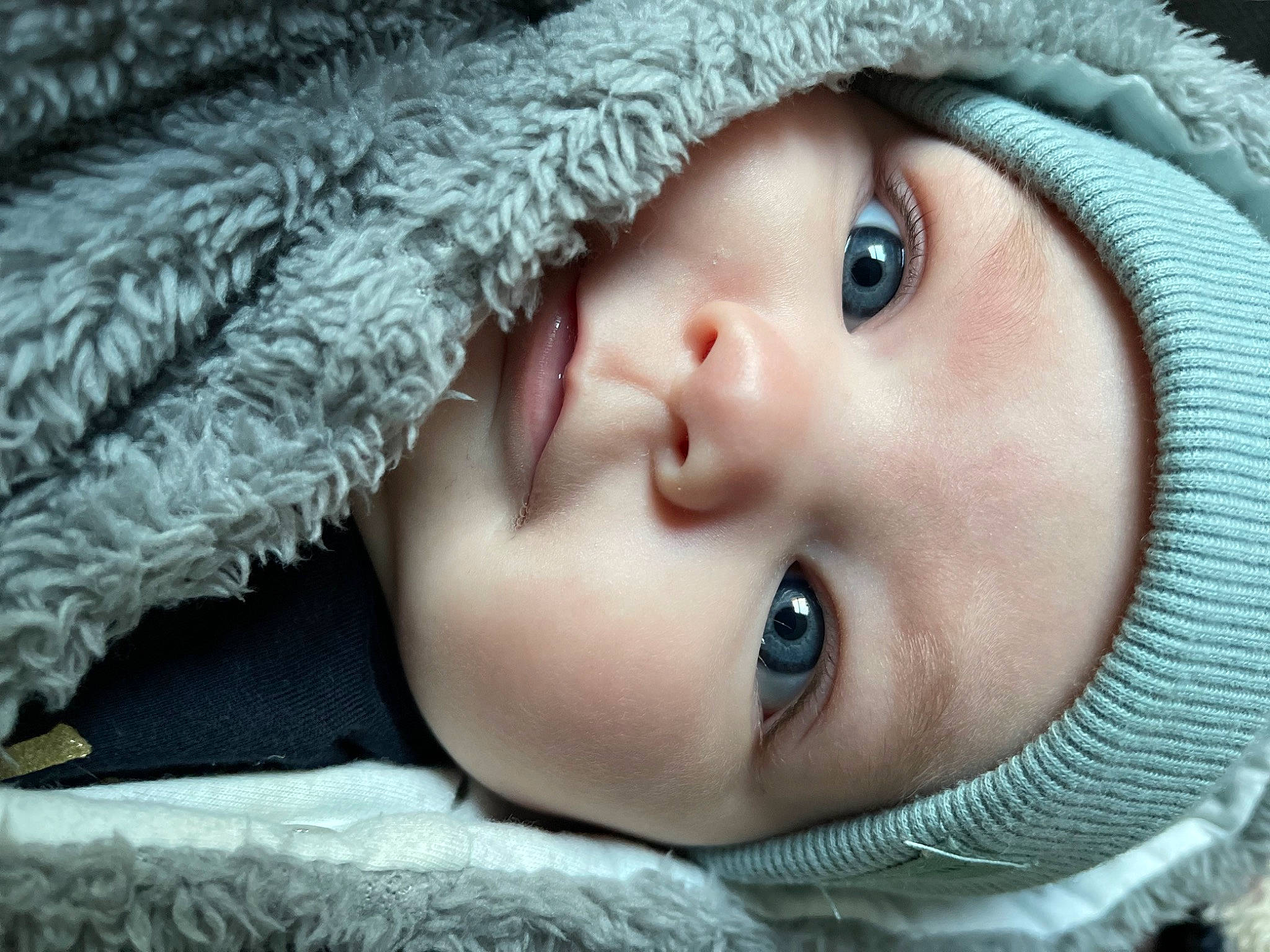 Hayley a rejoint le concours — aidez-le/la à gagner de superbes lots ! baby, cheek, child, cool, eye, eyebrow, eyelash, face, facial_expression, flash_photography, grass, headgear, headwear, iris, lip, mouth, nose, person, plant, skin