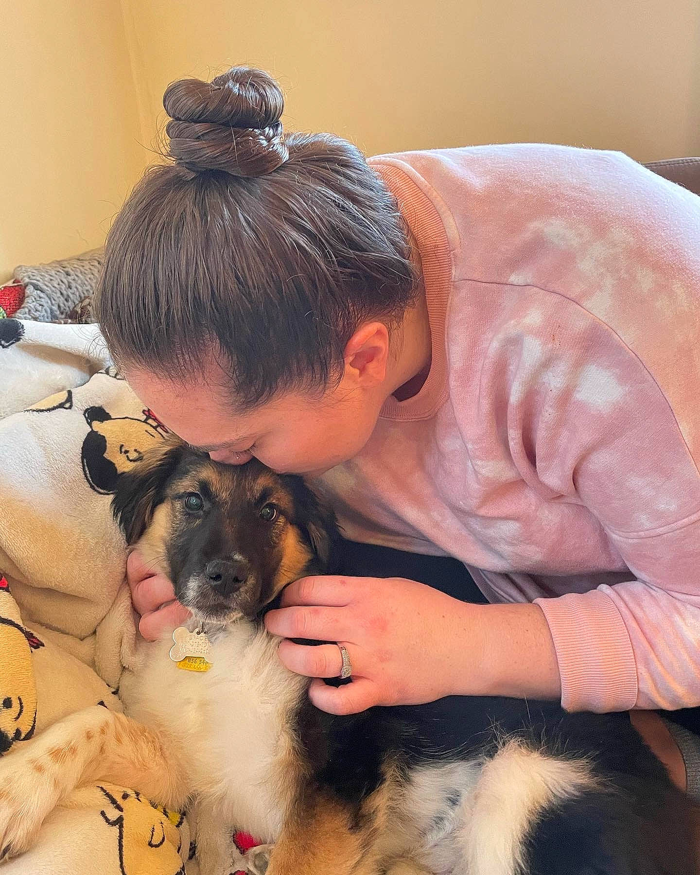 Gracie is registered to the contest to win money with this photo: black_hair, canidae, carnivore, child, comfort, companion_dog, dog, dog_breed, fawn, fur, happy, lap, love, paw, puppy_love, sitting, small_terrier, sporting_group, terrier, toy_dog