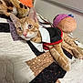 Jonesy joined the competition — help win amazing prizes! cat, kitten, orange_tabby, tuxedo, costume, bed, quilt, plush_toy, stuffed_animal, indoor, pet, animal, cute, relaxed, lying_down, feline, whiskers, ears, pink_nose, fur