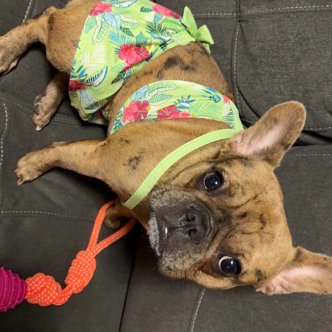Lulu Mae