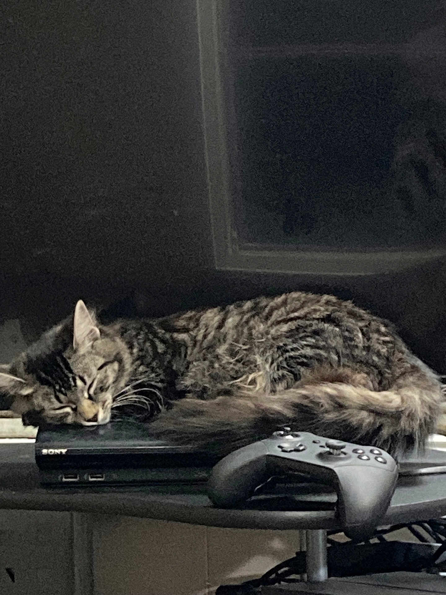 Storm is registered to the contest to win money with this photo: cat, tabby, sleeping, gaming_console, sony, game_controller, electronics, table, indoor, pet, feline, resting, fur, whiskers, cozy, relaxation, black, technology, leisure, household