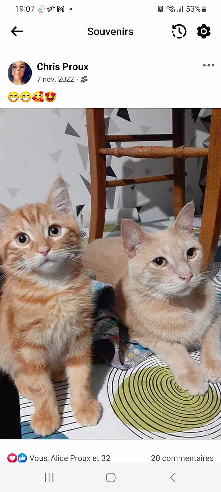 Tao Et Garfield