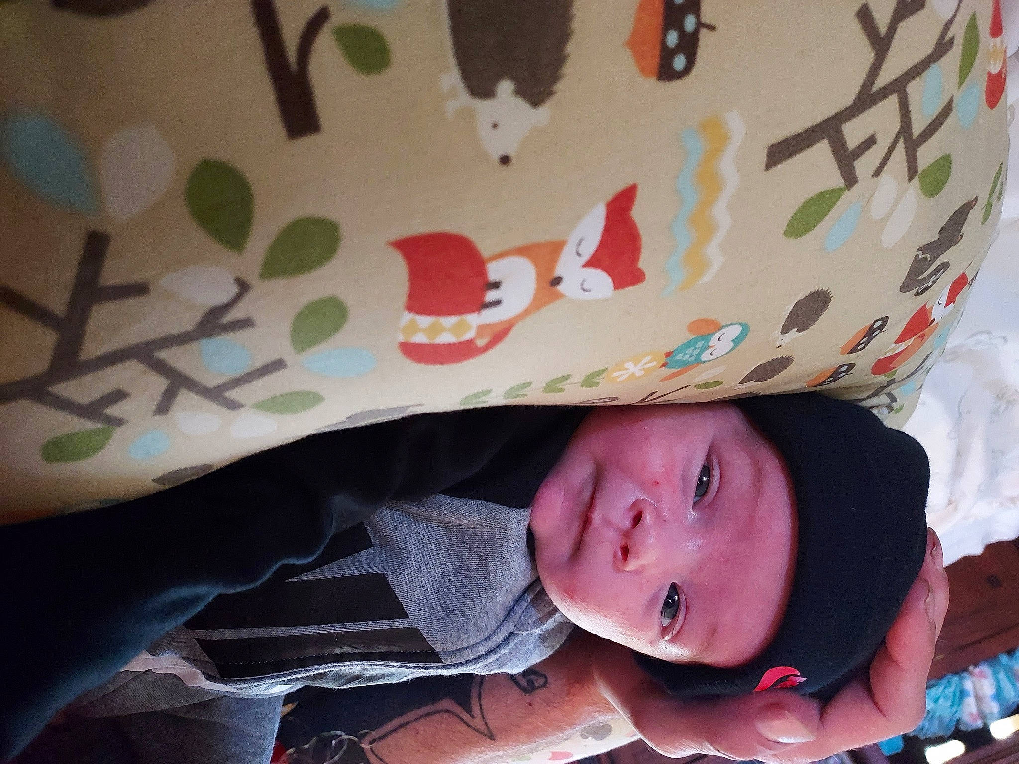 Layne joined the competition — help win amazing prizes! baby, baby_products, baby_toddler_clothing, carmine, cheek, child, comfort, fun, happy, headwear, leisure, linens, pattern, person, sleeve, smile, textile, toddler, tree