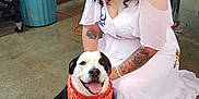Diesel joined the competition — help win amazing prizes! woman, dog, white_dress, tattoos, indoor, concrete_floor, bandana, bow_tie, black_and_white_dog, smiling_dog, curly_hair, pearl_necklace, trash_bin, table, stitch_bag, casual, kneeling, pet, person, happy