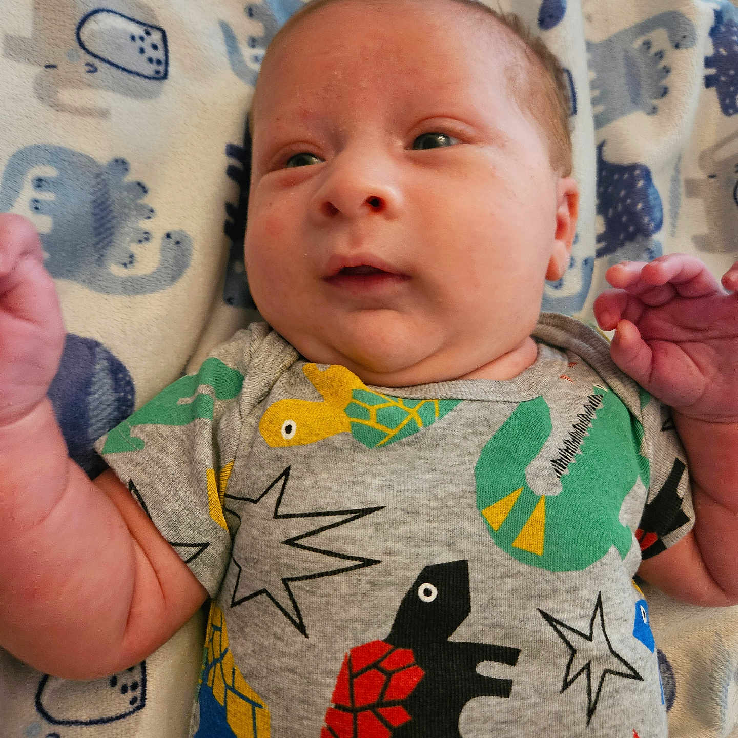 Owen is registered to the contest to win money with this photo: animal, applique, baby, bird, bodypart, clothing, cushion, face, finger, furniture, hand, head, homedecor, newborn, pattern, penguin, person, photography, portrait, t_shirt