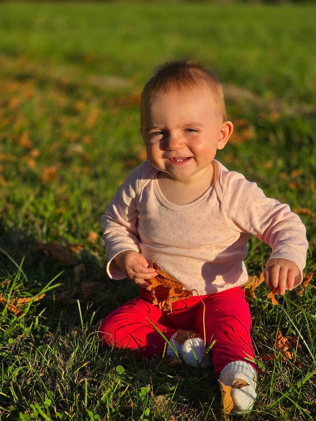 Elia participe au concours pour gagner de l'argent avec cette photo : baby, child, grass, leaf, outdoor, smiling, sitting, sunlight, autumn, nature, toddler, happy, clothing, long_sleeve, pants, sock, cute, playing, fun, portrait