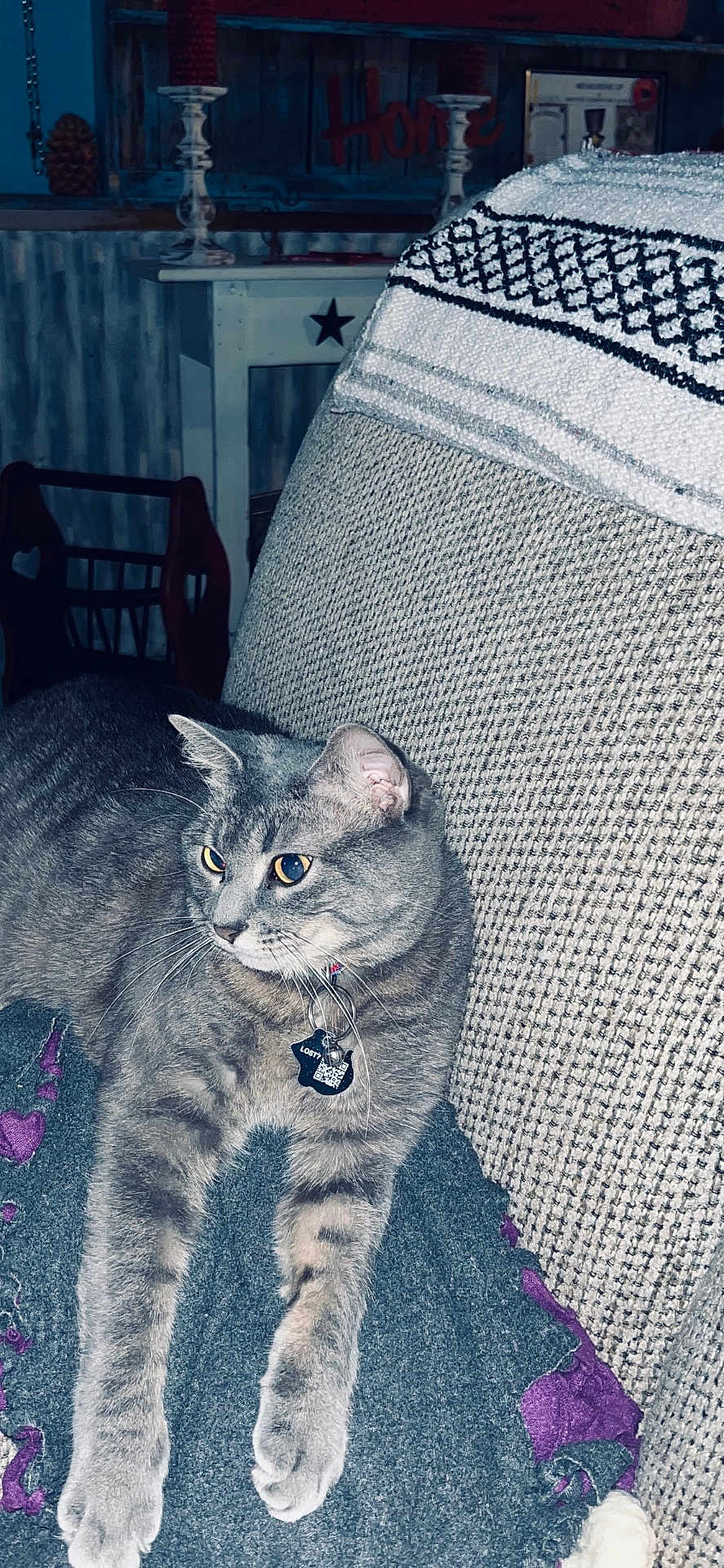 Graycie