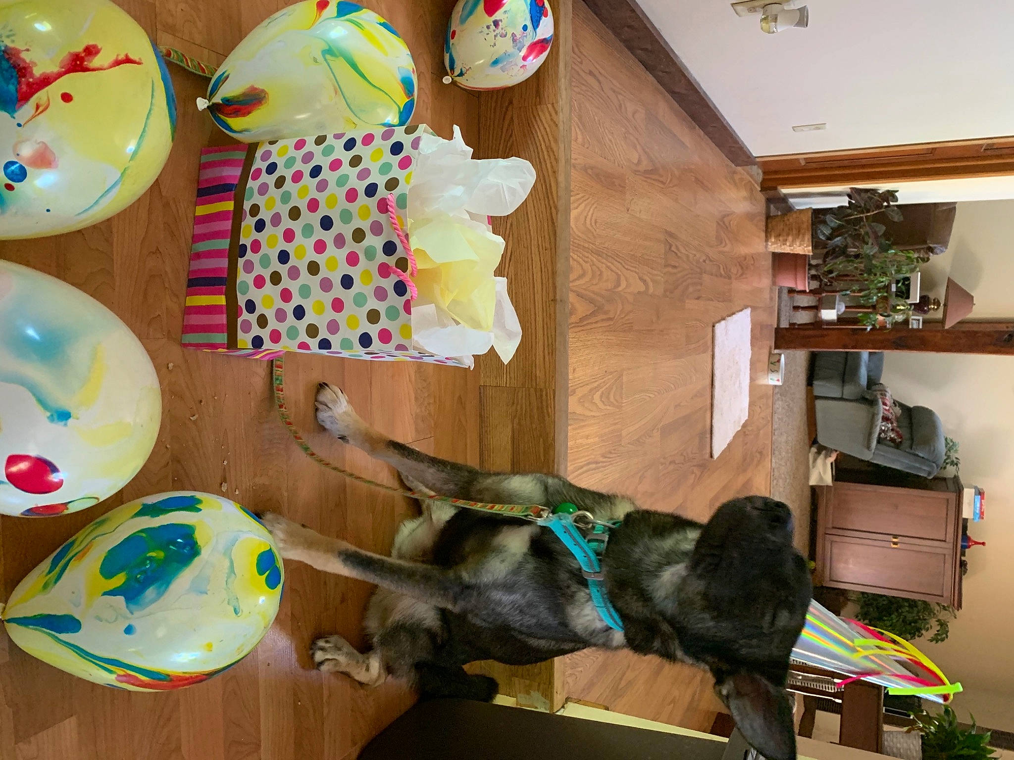 Bristol joined the competition — help win amazing prizes! child, floor, interior_design, party_supply, play, room, toy, wood