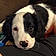 Molly