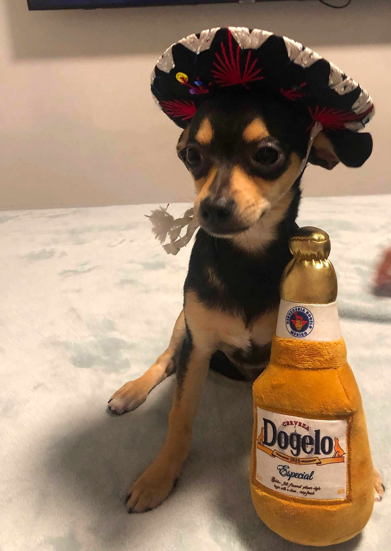 Coco