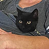 black_cat, cat, pet, animal, person, shirt, gray_clothing, indoor, resting, curious_eyes, cozy, cuddle, human_arm, pillow, patterned_bedding, close_up, relaxation, companion, feline, comfort