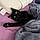 Salem