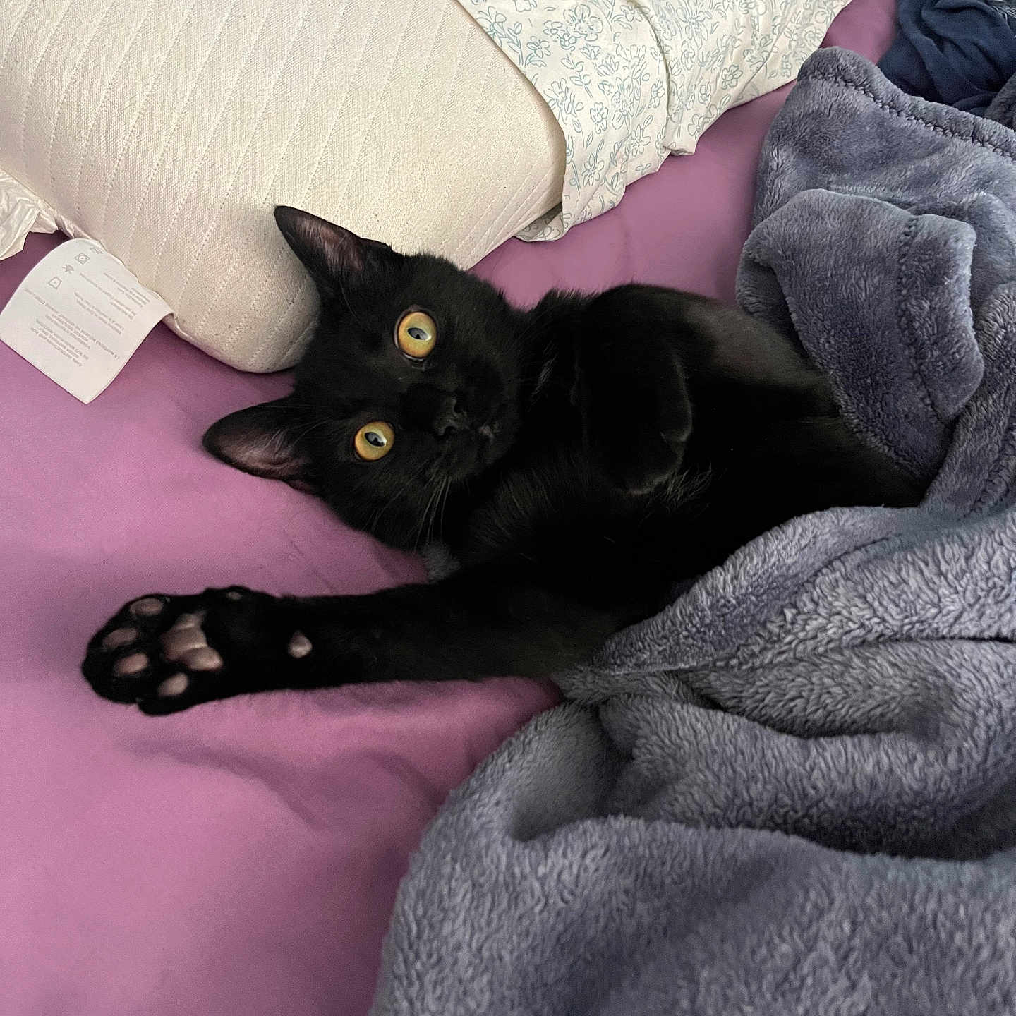 Salem