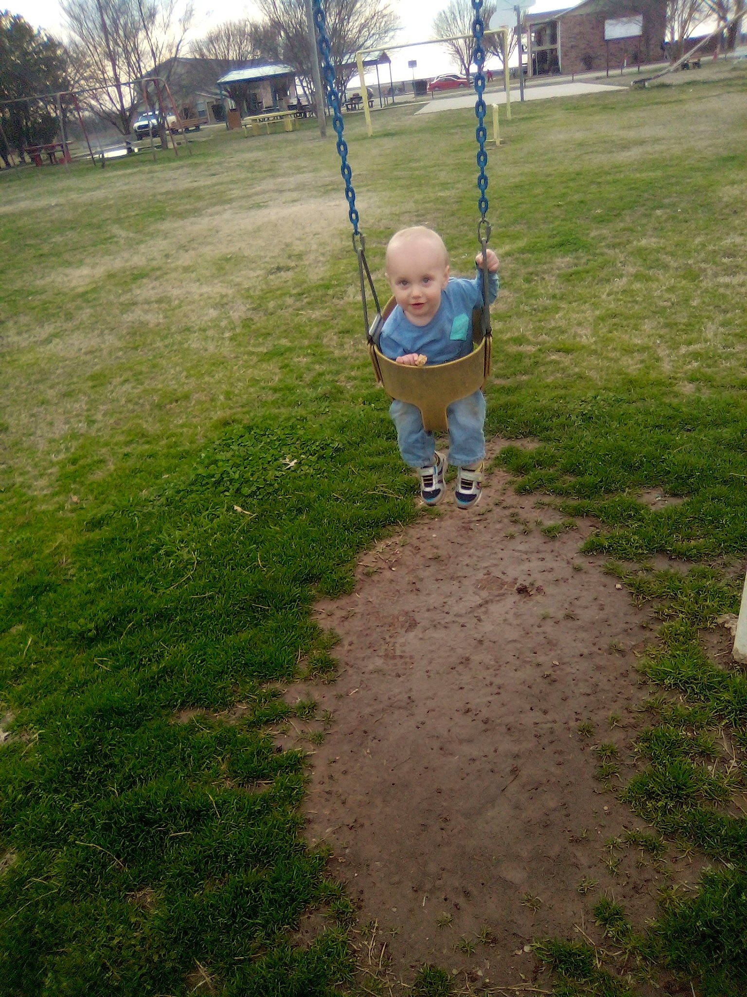 Beau joined the competition — help win amazing prizes! backyard, child, fun, grass, lawn, leaf, outdoor_play_equipment, park, person, plant, play, playground, public_space, recreation, swing, toddler, tree, yard